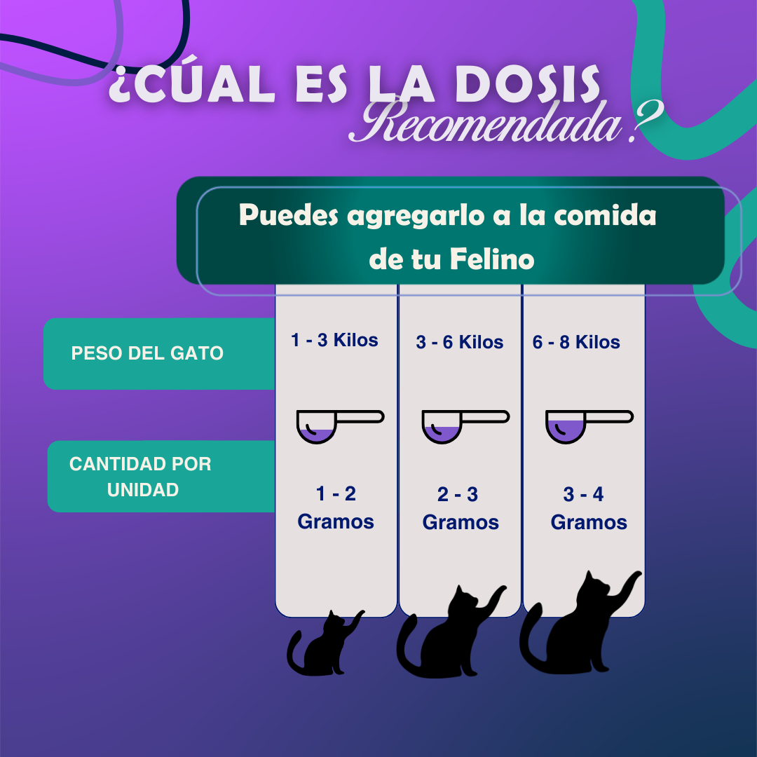 😺PROMO INCIO DE AÑO 😺Probiótico Digestivo Digescat™️| Suplemento Natural 3 en 1 | Registro sanitario ✅