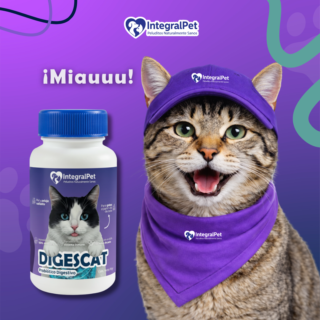 😺PROMO INCIO DE AÑO 😺Probiótico Digestivo Digescat™️| Suplemento Natural 3 en 1 | Registro sanitario ✅