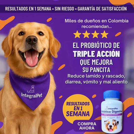 Bocados Integral Pet™️ | Promo 2x1 🎁 | Registro INV1MA ✅