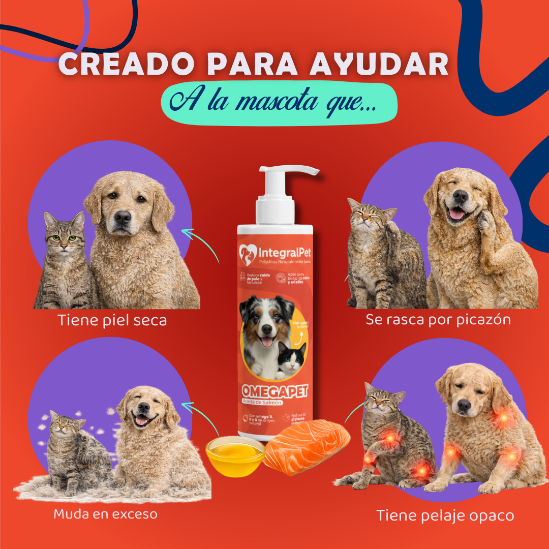 🐶😺PROMO INCIO DE AÑO 😺🐶 Suplemento OmegaPet  ™ PROMO 2X1 🎁|  RECOMENDADO POR EXPERTOS| 100% NATURAL | REGISTRO ICA ✨
