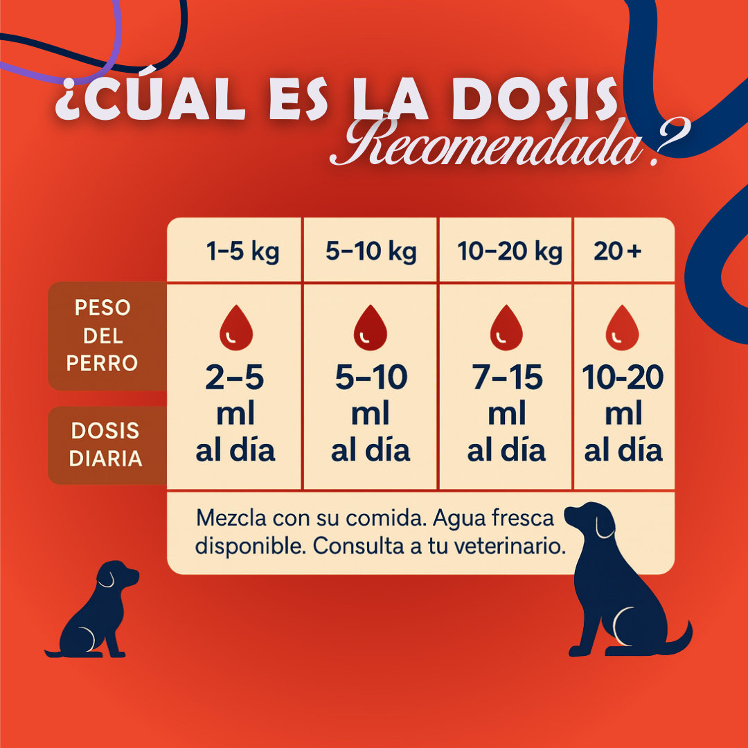 🐶😺PROMO INCIO DE AÑO 😺🐶 Suplemento OmegaPet  ™ PROMO 2X1 🎁|  RECOMENDADO POR EXPERTOS| 100% NATURAL | REGISTRO ICA ✨