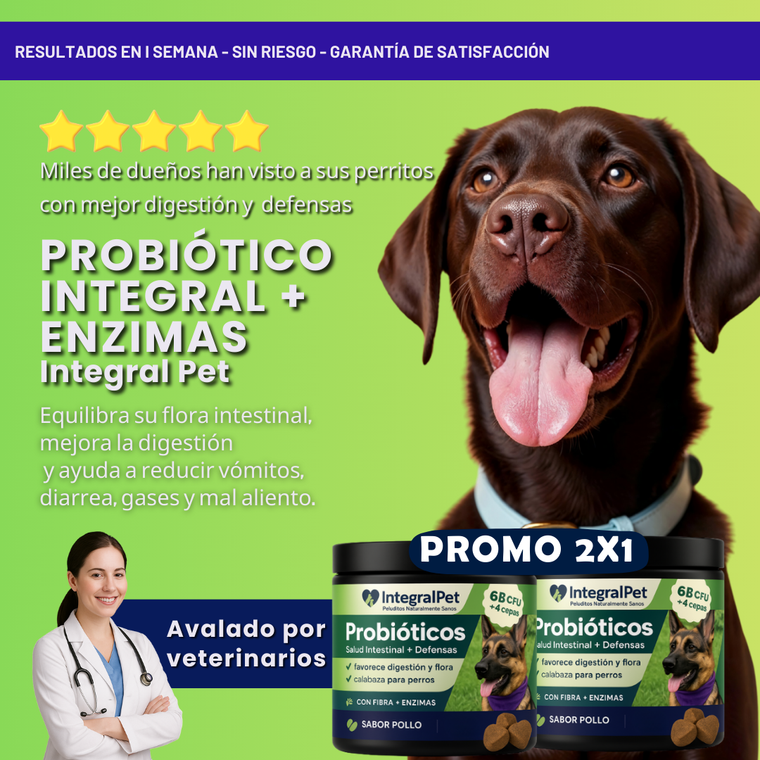 🔴PROMO INICIO DE AÑO 🔴Probiótico enzimas digestivas™ Salud Intestinal siempre | PROMO 2x1 🎁