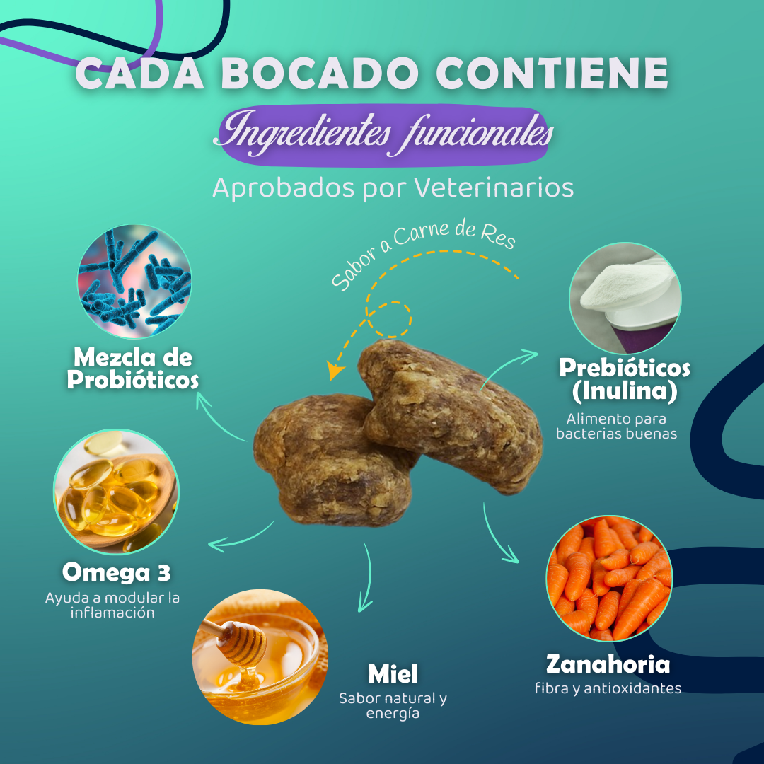 Probiotico Integral Pet™️ | 100% Natural | Promo 2x1 🎁 | Registro ICA ✅