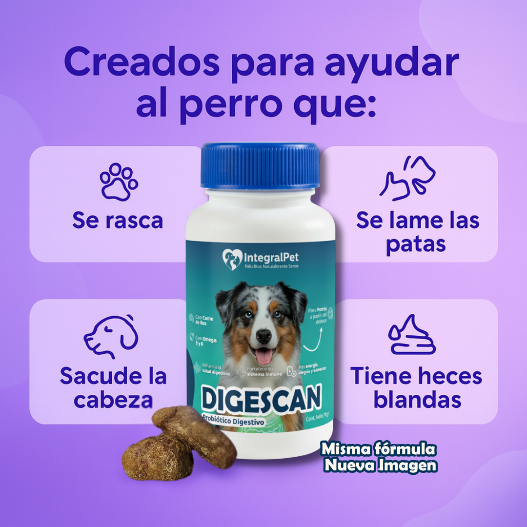 Probiotico Integral Pet™️ | 100% Natural | Promo 2x1 🎁 | Registro ICA ✅