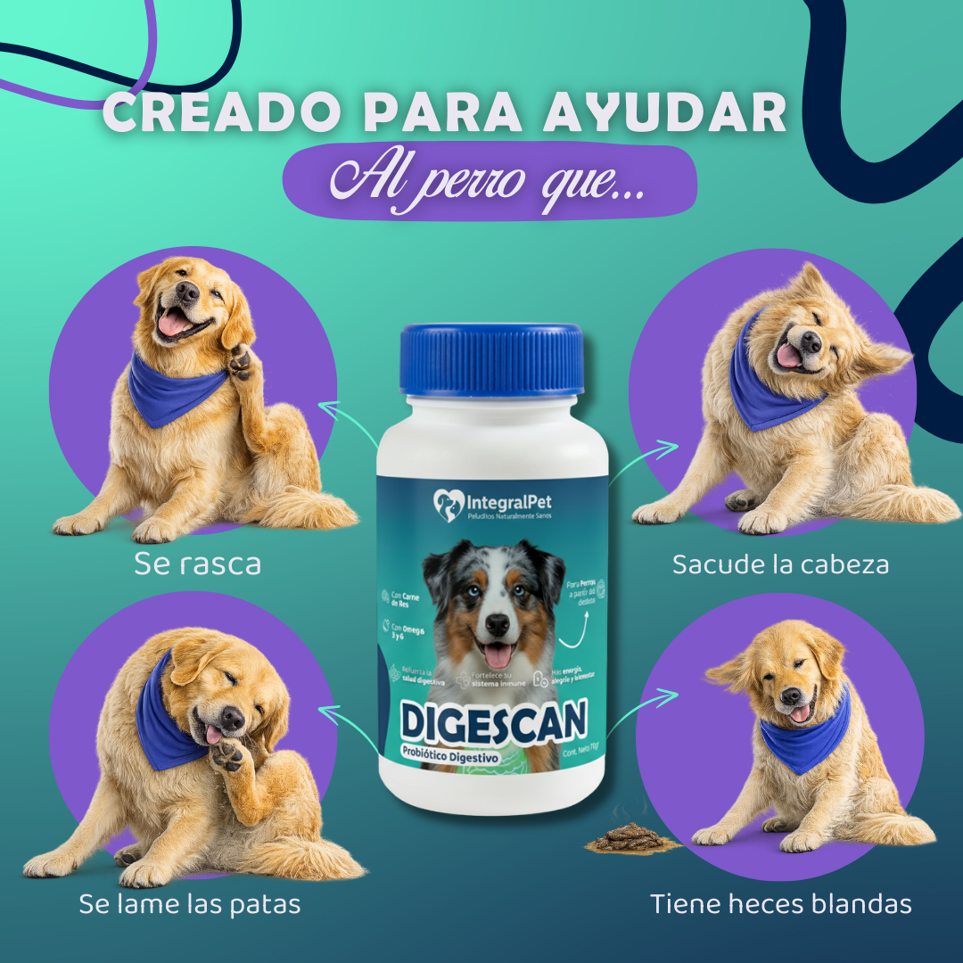 Probiotico Integral Pet™️ | 100% Natural | Promo 2x1 🎁 | Registro ICA ✅