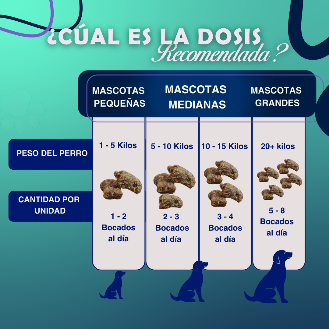 Probiotico Integral Pet™️ | 100% Natural | Promo 2x1 🎁 | Registro ICA ✅