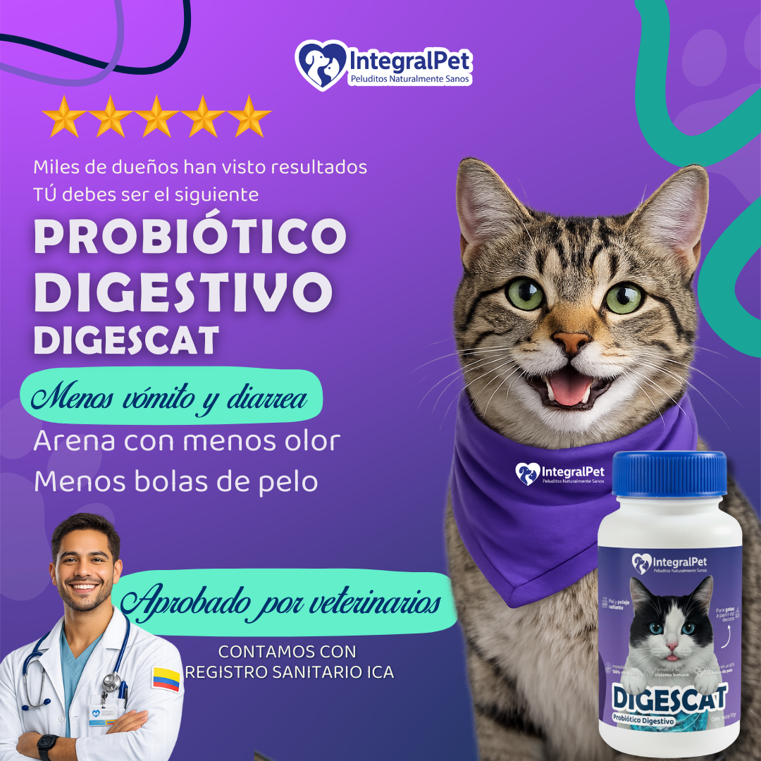 😺PROMO INCIO DE AÑO 😺Probiótico Digestivo Digescat™️| Suplemento Natural 3 en 1 | Registro sanitario ✅