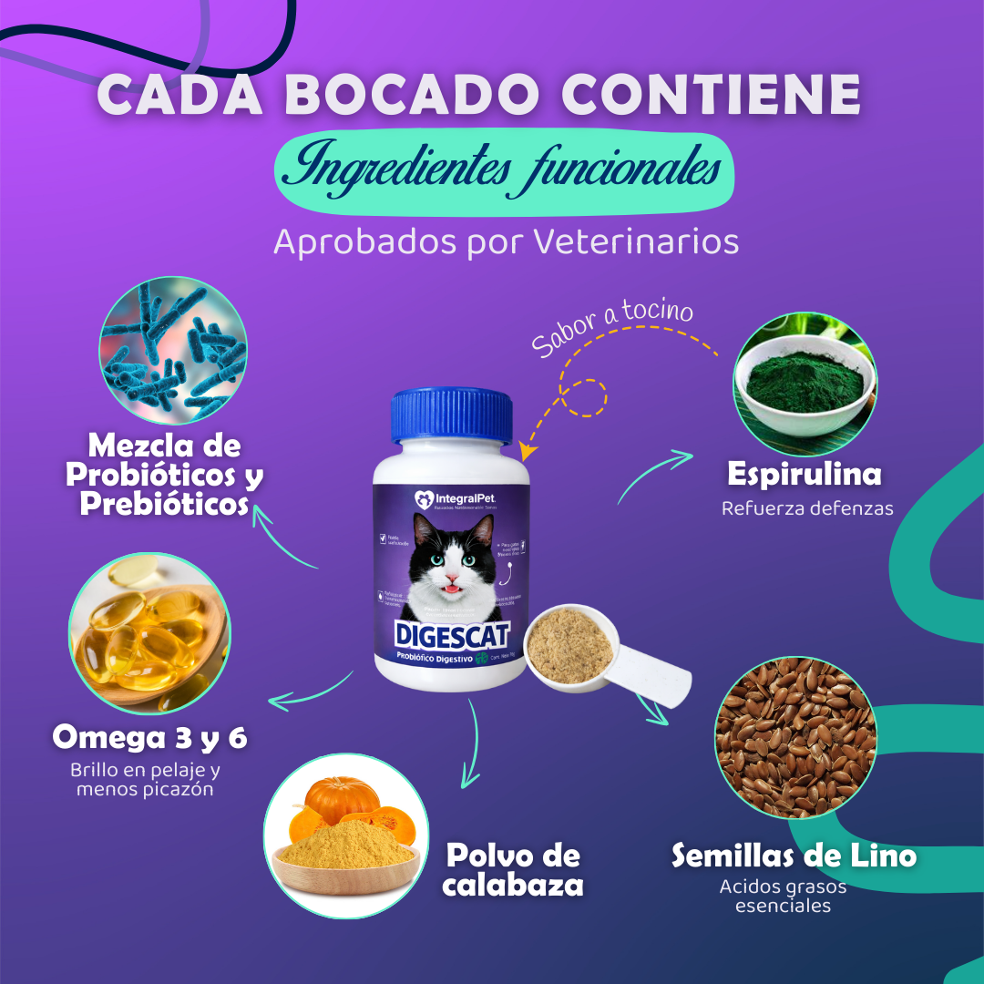 😺PROMO INCIO DE AÑO 😺Probiótico Digestivo Digescat™️| Suplemento Natural 3 en 1 | Registro sanitario ✅