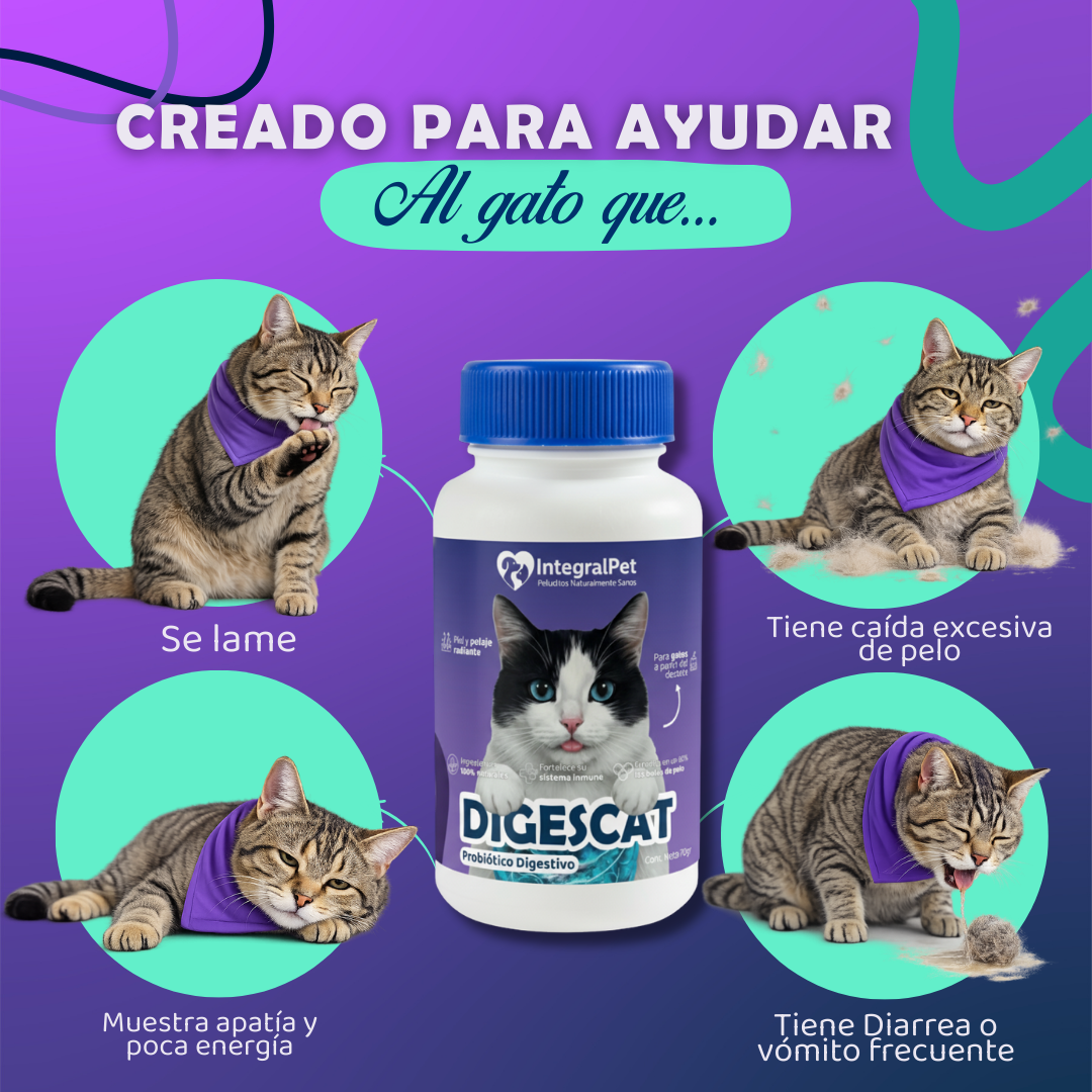 😺PROMO INCIO DE AÑO 😺Probiótico Digestivo Digescat™️| Suplemento Natural 3 en 1 | Registro sanitario ✅