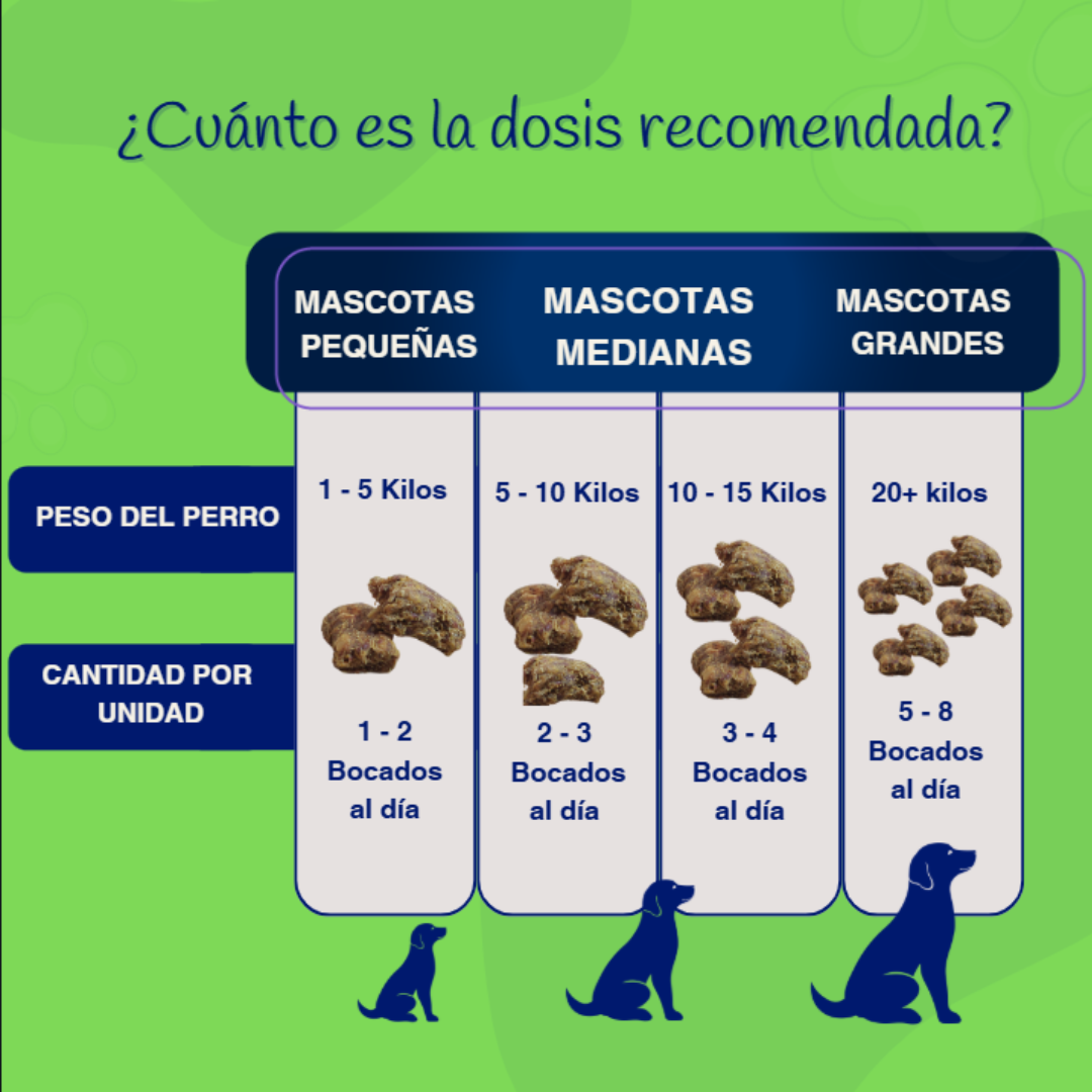 🔴PROMO INICIO DE AÑO 🔴Probiótico enzimas digestivas™ Salud Intestinal siempre | PROMO 2x1 🎁