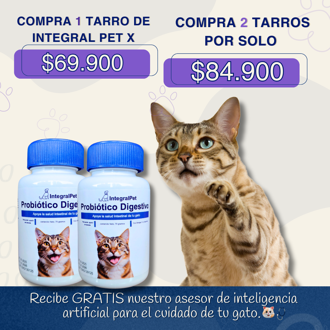 Bocados Integral Pet Gatos™️ Salud Digestiva y Defensas Fuertes para tu Gato