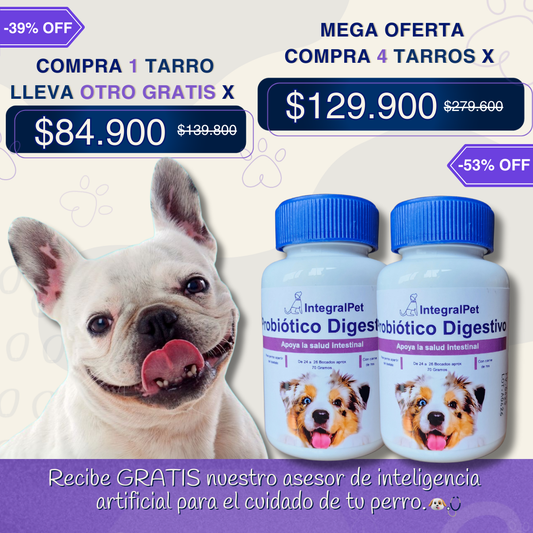 Bocados Integral Pet™️ Mejora su intestino y sus Defensas.