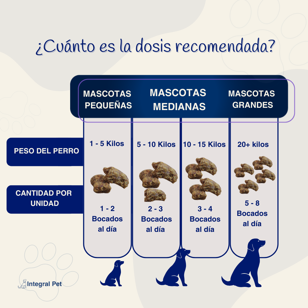 Integral Pet™️ Mejora su intestino y sus defensas