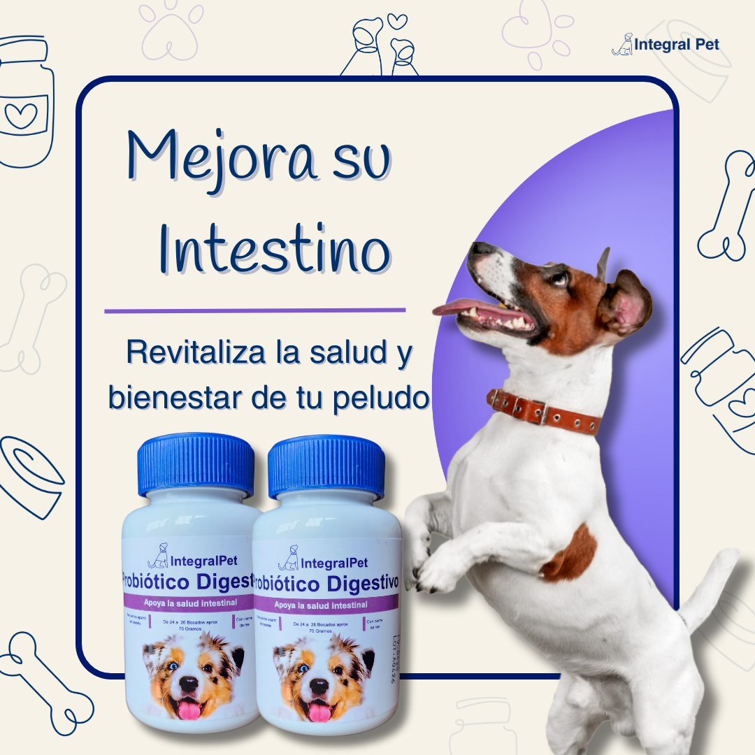 Integral Pet™️ Mejora su intestino y sus defensas