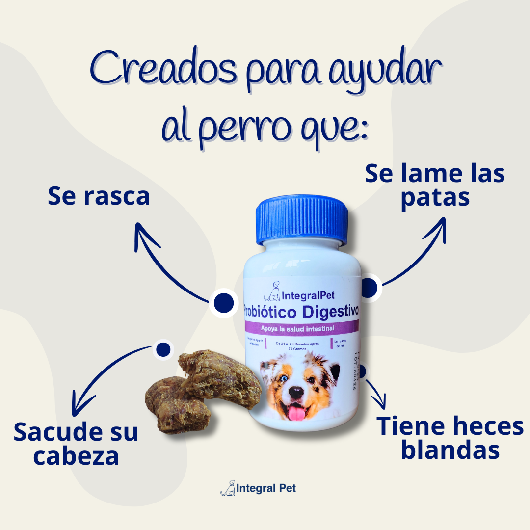 Integral Pet™️ Mejora su intestino y sus defensas