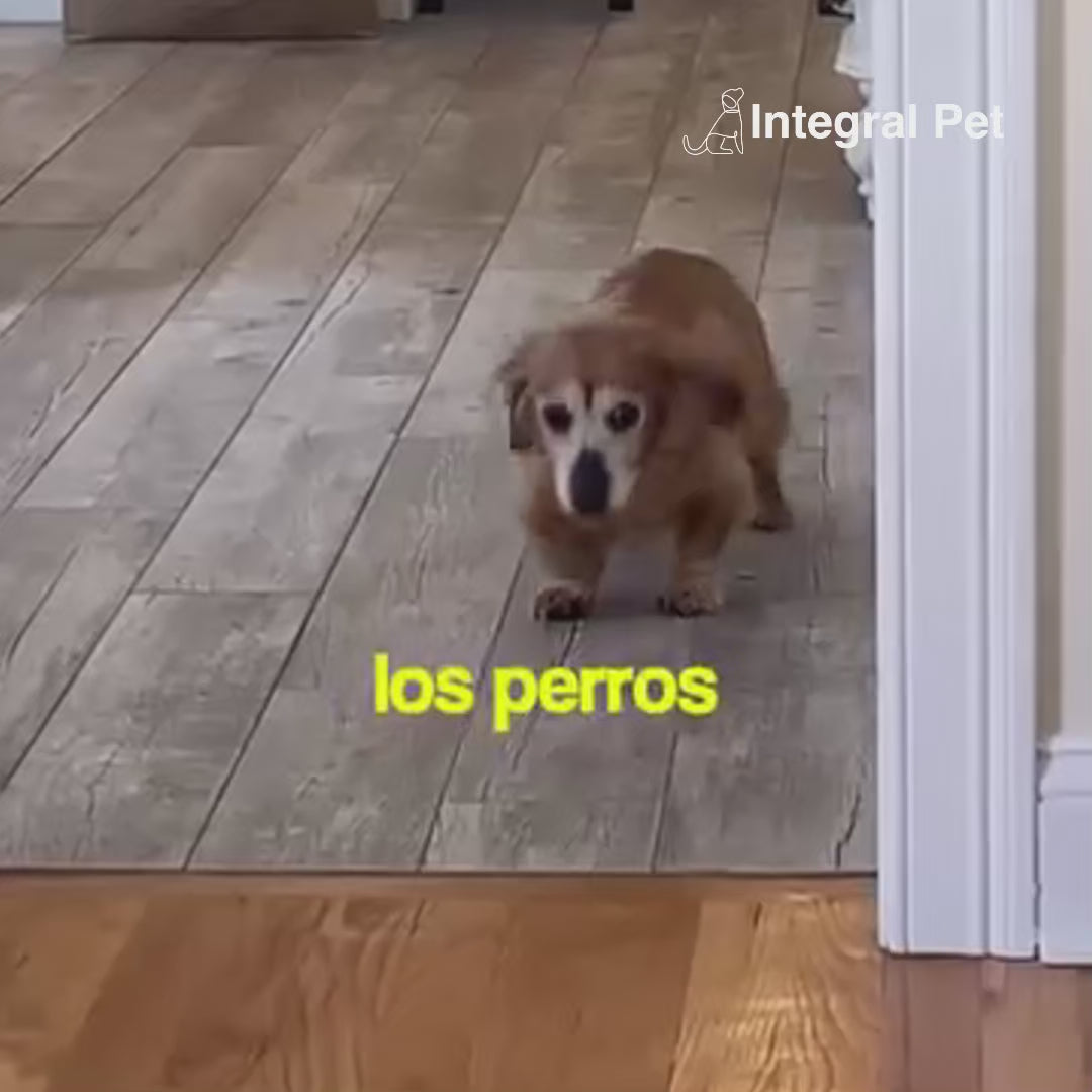 FlexiCan Forte™ Salud Articular y Movilidad Total